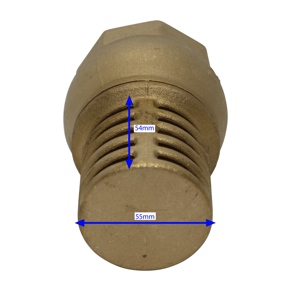 thumbnail image 2 of Buy Brass Foot Valve Strainer Complete Set With Hose Barb - MyDeal 2 of 13
