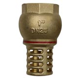 1" Brass Foot Valve and Strainer Only Water Pump Hose Suction