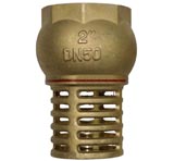 2" Brass Foot Valve and Strainer Only Water Pump Hose Suction