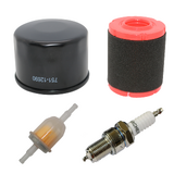 16HP Vertical Shaft Engine Service Kit VS550 - Current model