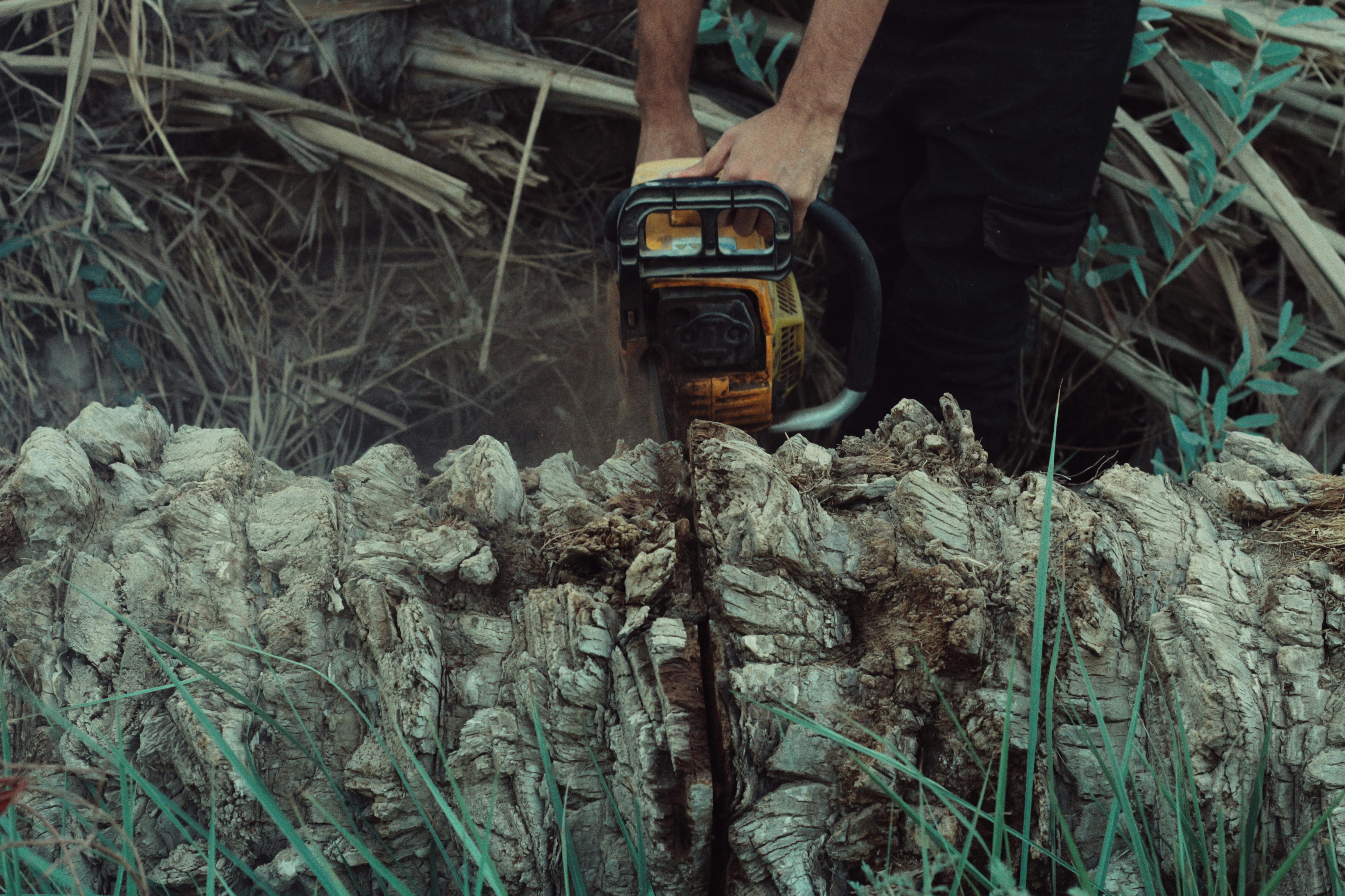 How to Use a Chainsaw Grinder: Step-by-Step Sharpening Guide